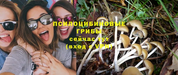 каннабис Алексеевка
