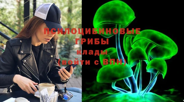 а пвп мука Бутурлиновка