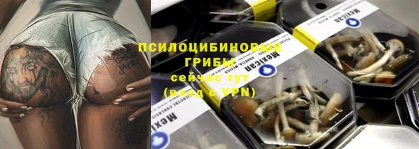 спайс Алзамай